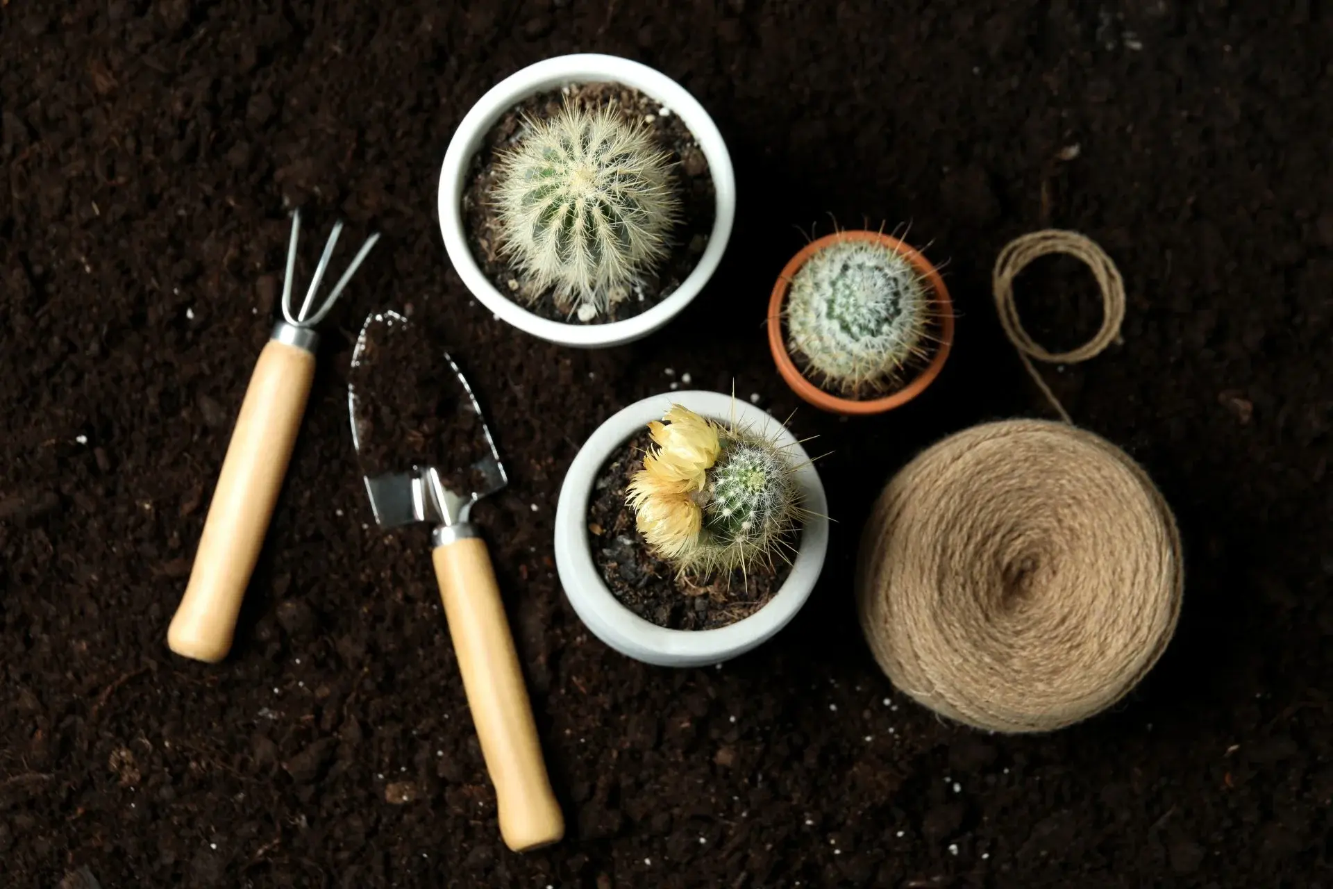 Soil