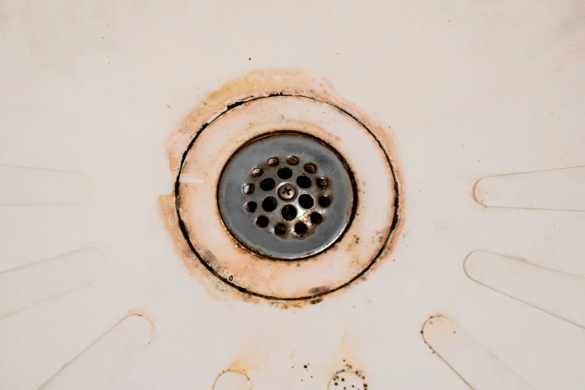 Common Drain Issues Found During A CCTV Survey
