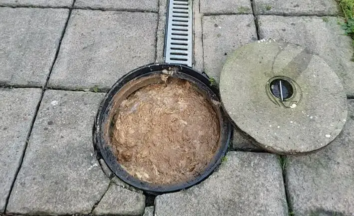 Blocked Drains Waringstown 