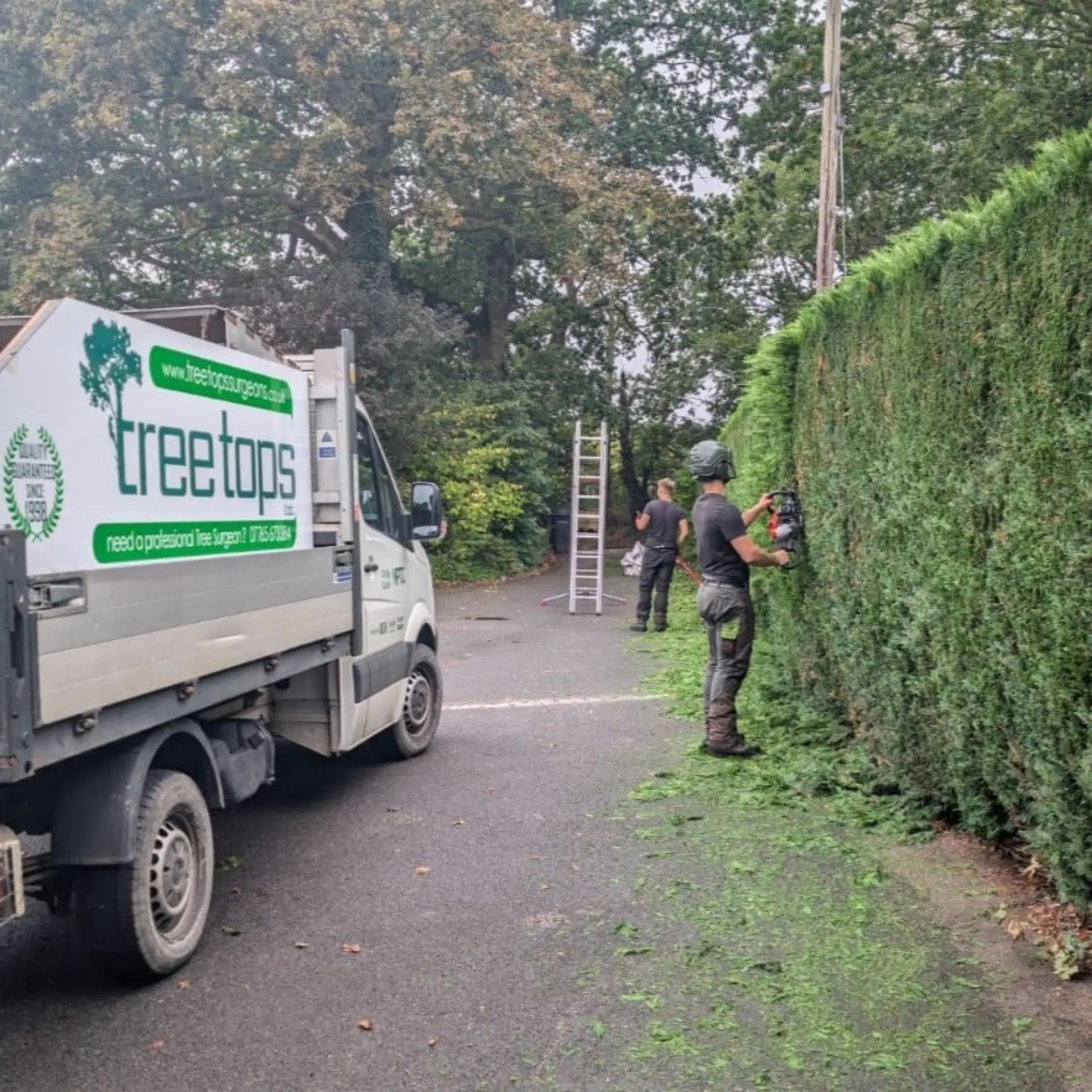 Tree Surgeons In Sittingbourne, Faversham, Bearsted