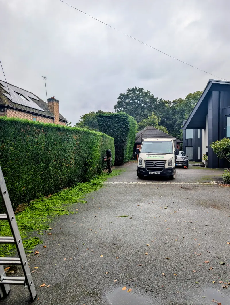 Hedge Trimming Canterbury