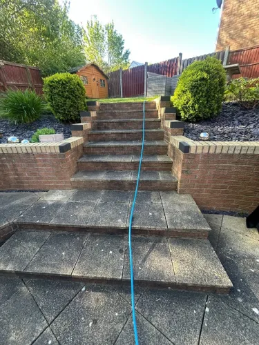Professional Patio Cleaning and Algae Removal Transformation