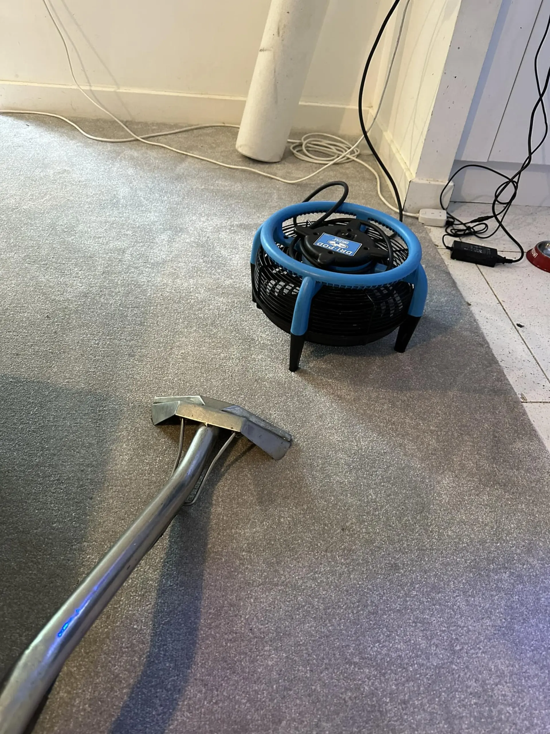 End of Tenancy Carpet Cleaning Lechlade