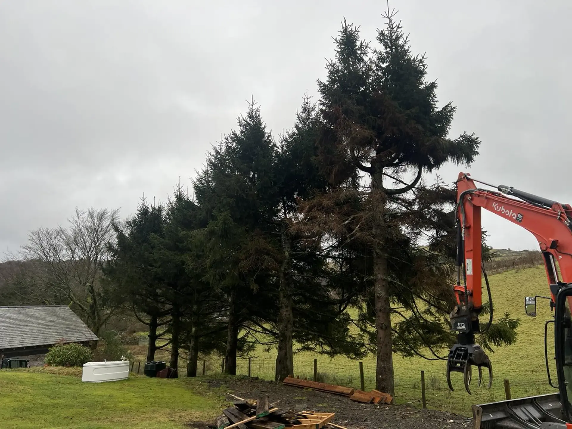 Tree Felling and Stump Grinding Lancashire, Cumbria