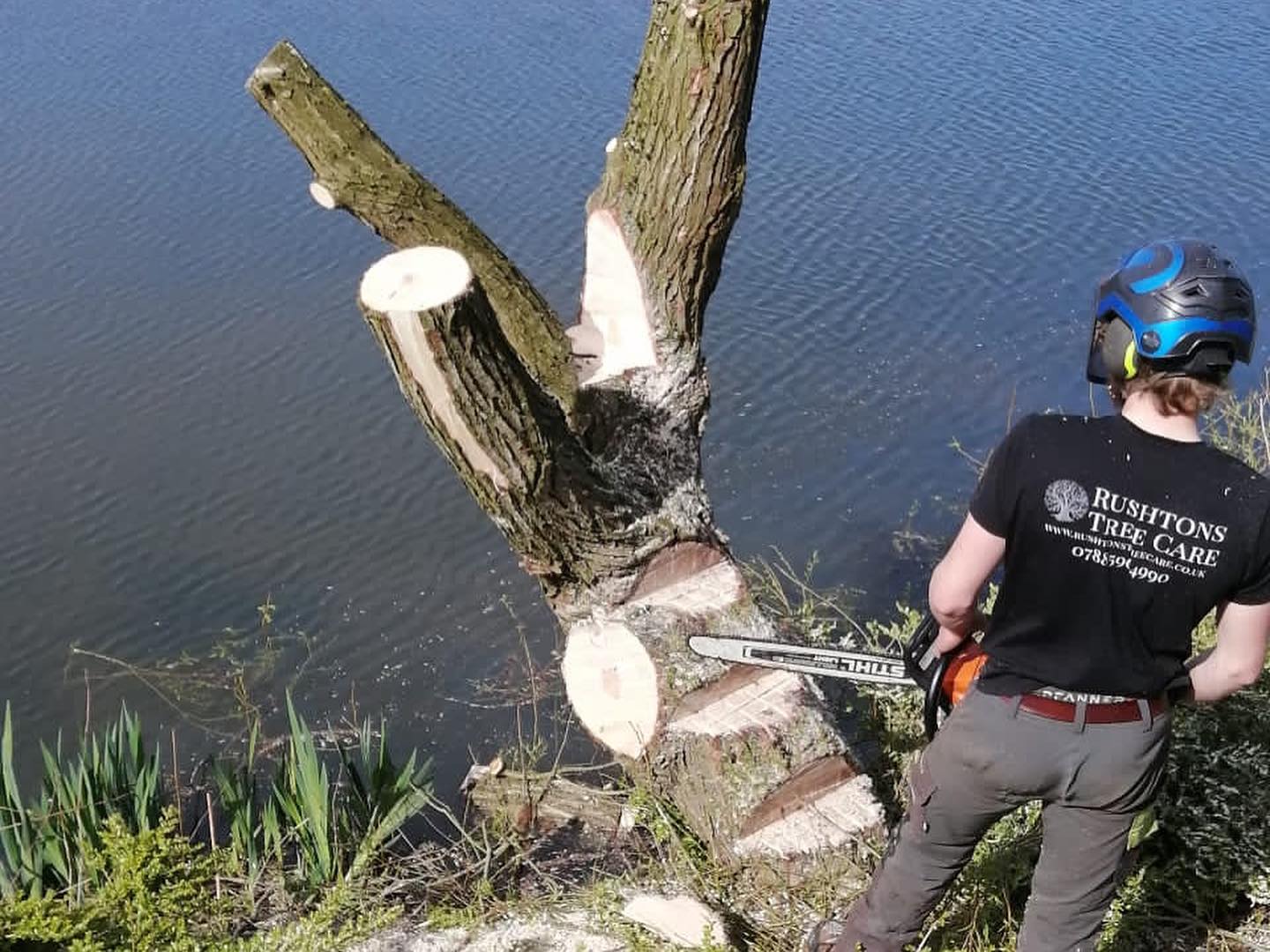 Tree Surgeon in Blackpool | Emergency Tree Removal Blackpool