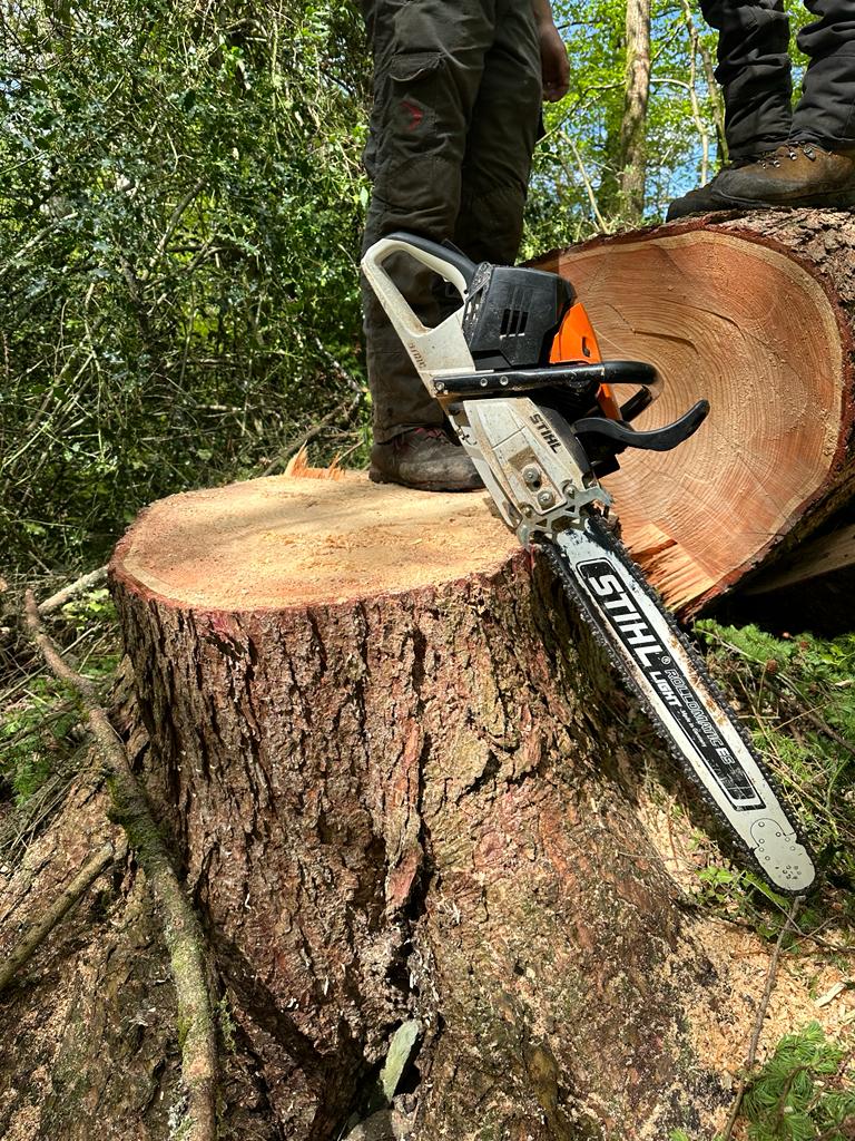 Shrub And Tree Removals in Preston, Lancashire and Cumbria