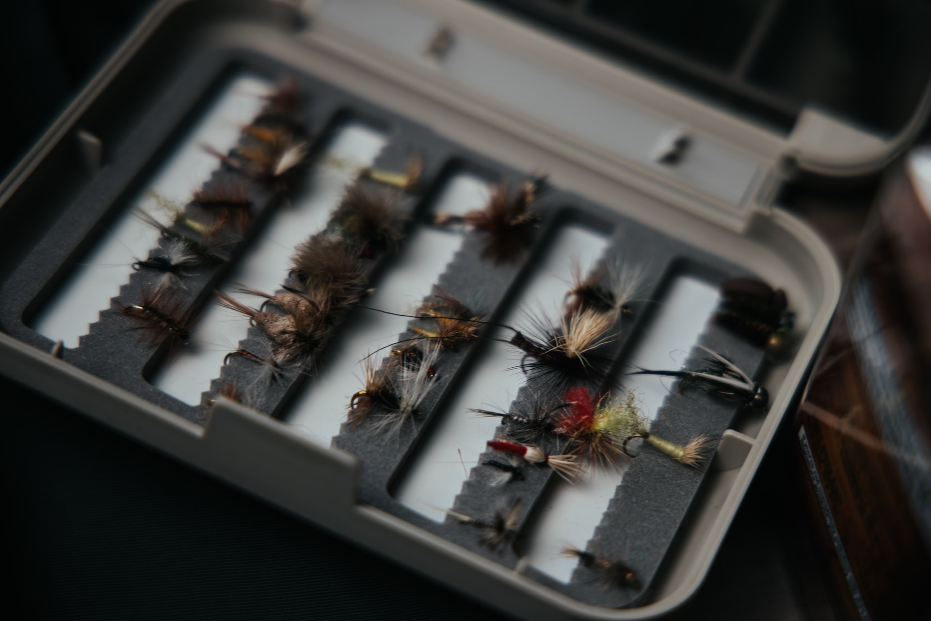 What to Bring - Full-Day Fishing Charter in the UK