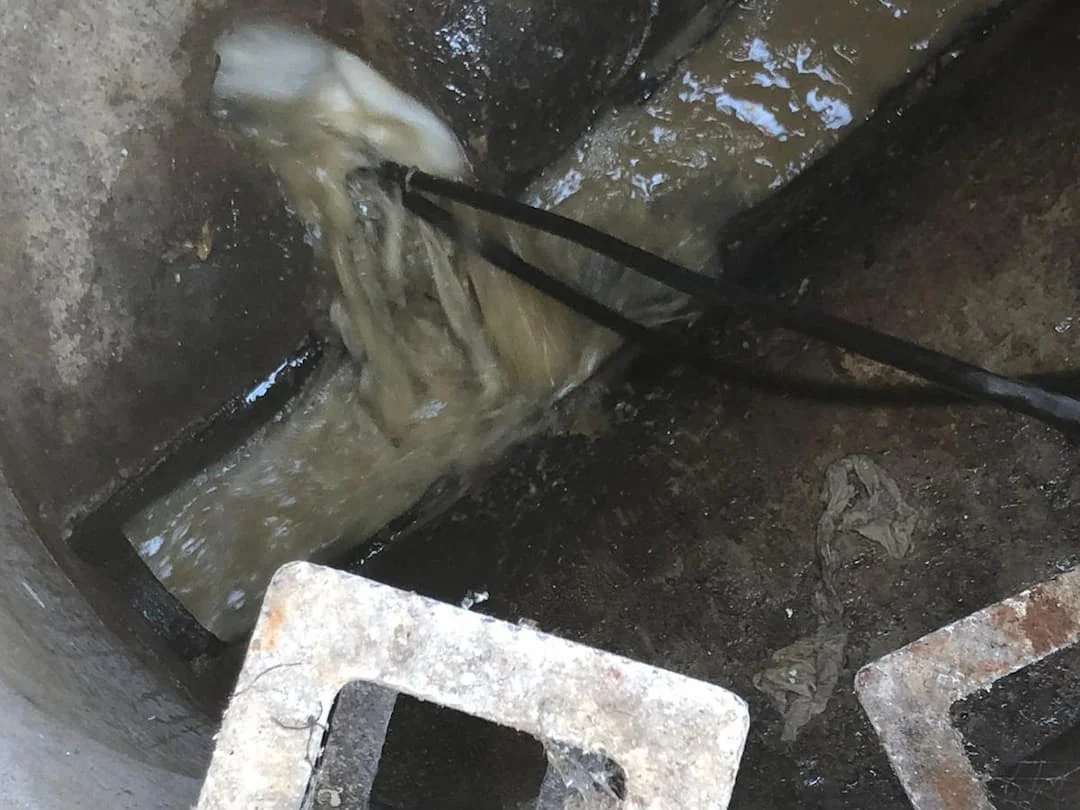 Everything You Need to Know About Drain Maintenance and Repairs Everything You Need to Know About Drain Maintenance and Repairs