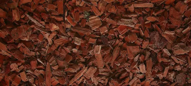 Choosing the Right Wood Chips for Your Garden Choosing the Right Wood Chips for Your Garden