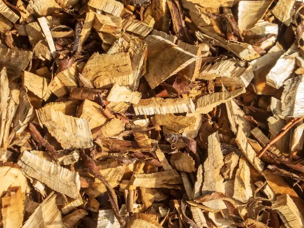 What Are The Benefits Of Biomass Fuels