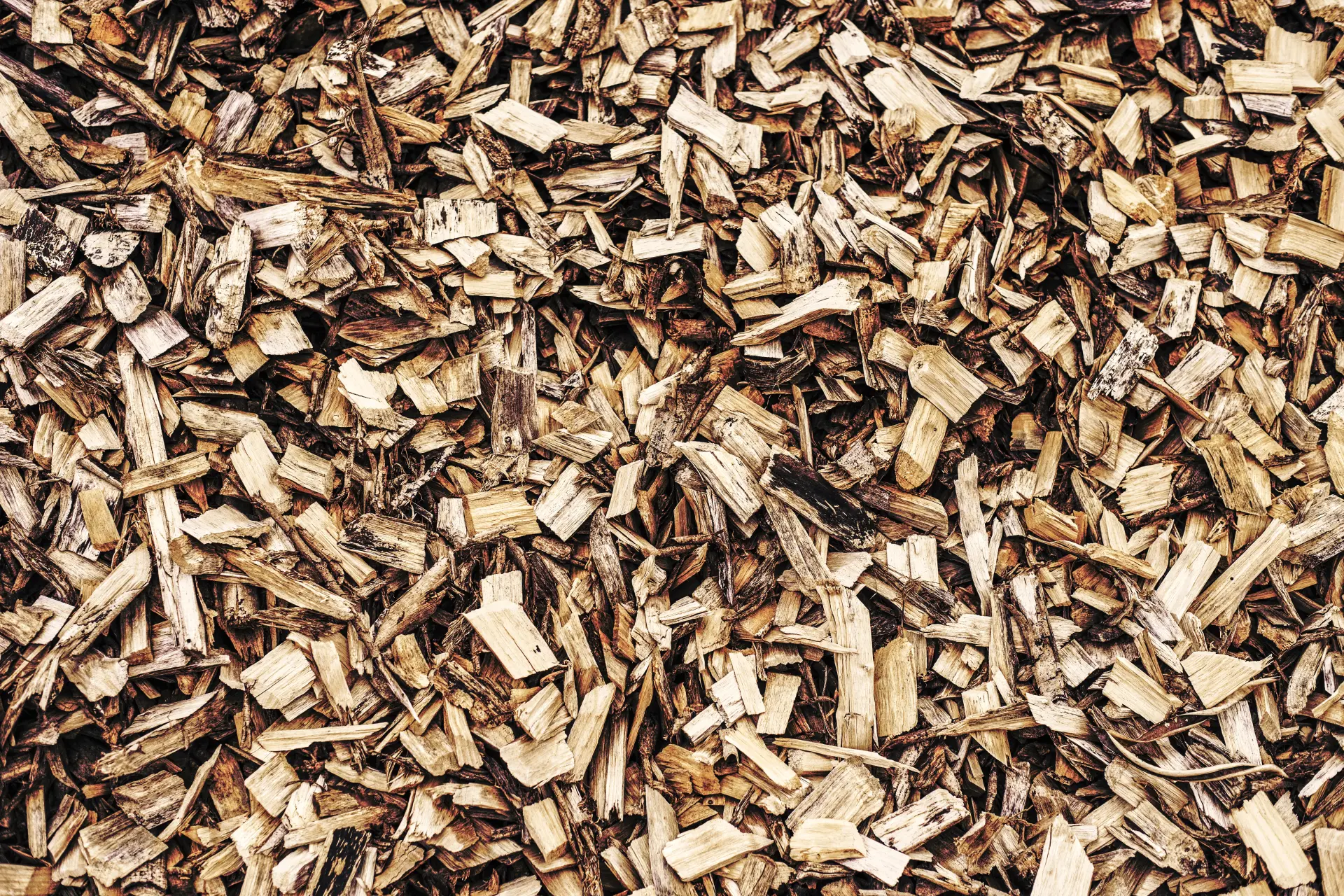 Biomass Wood Chip vs Other Renewable Fuels Biomass Wood Chip vs Other Renewable Fuels