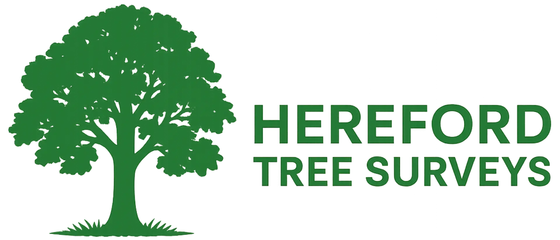 Hereford Tree Surveys