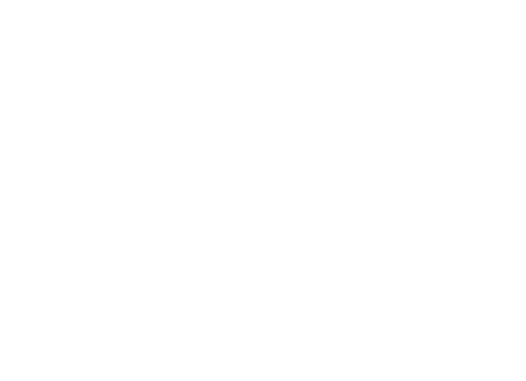 Elegant Carriages