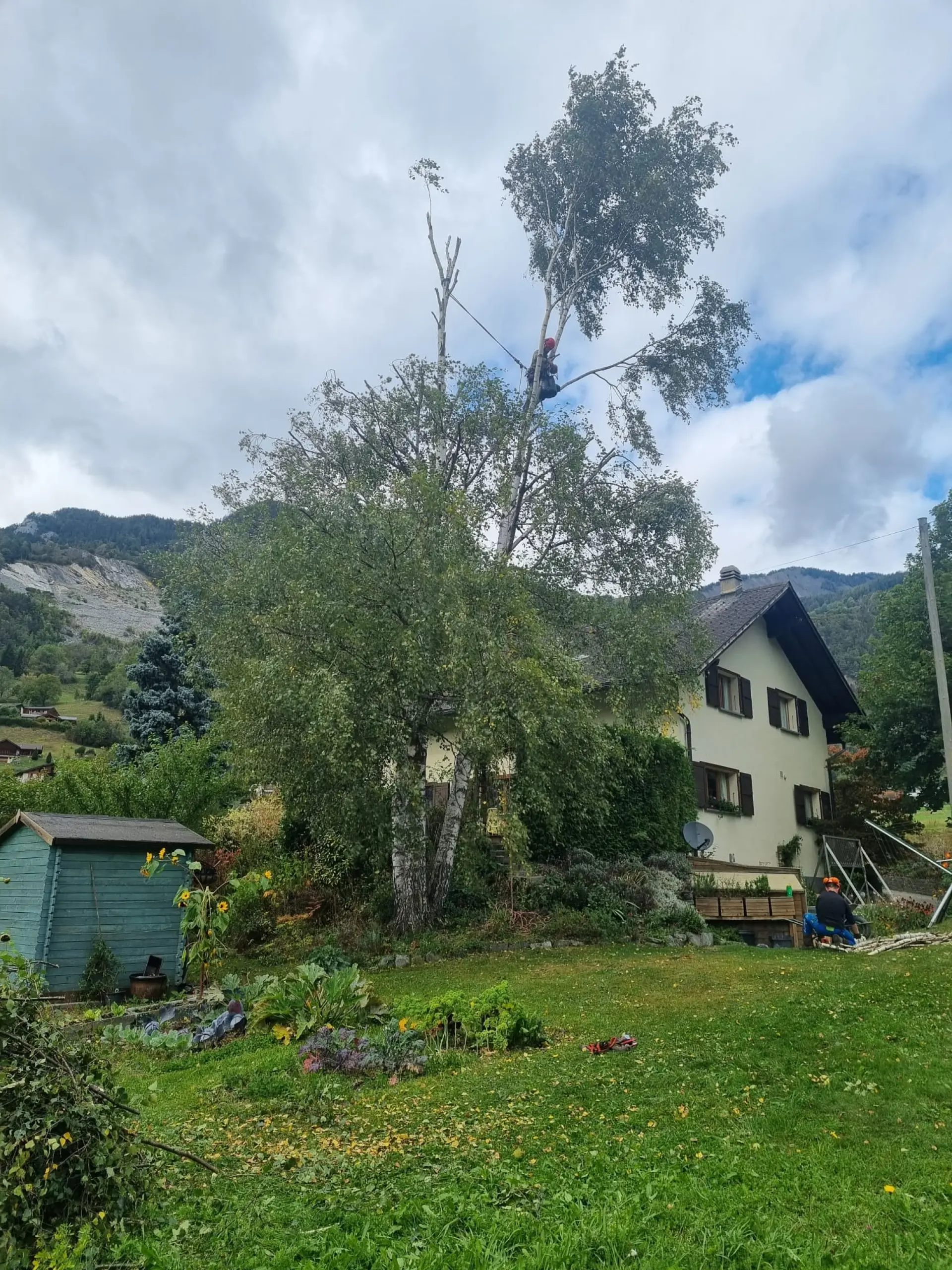 Our Tree Removal Services Malvern, Ledbury, Worcester