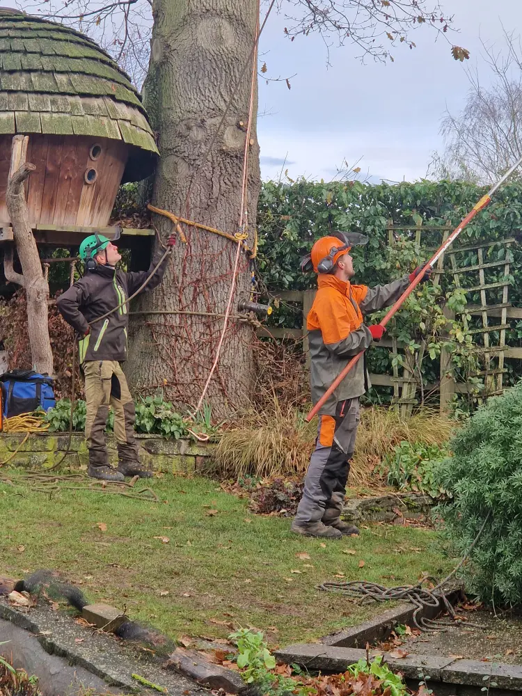 Tree Surgeon in Malvern, Ledbury, Worcester