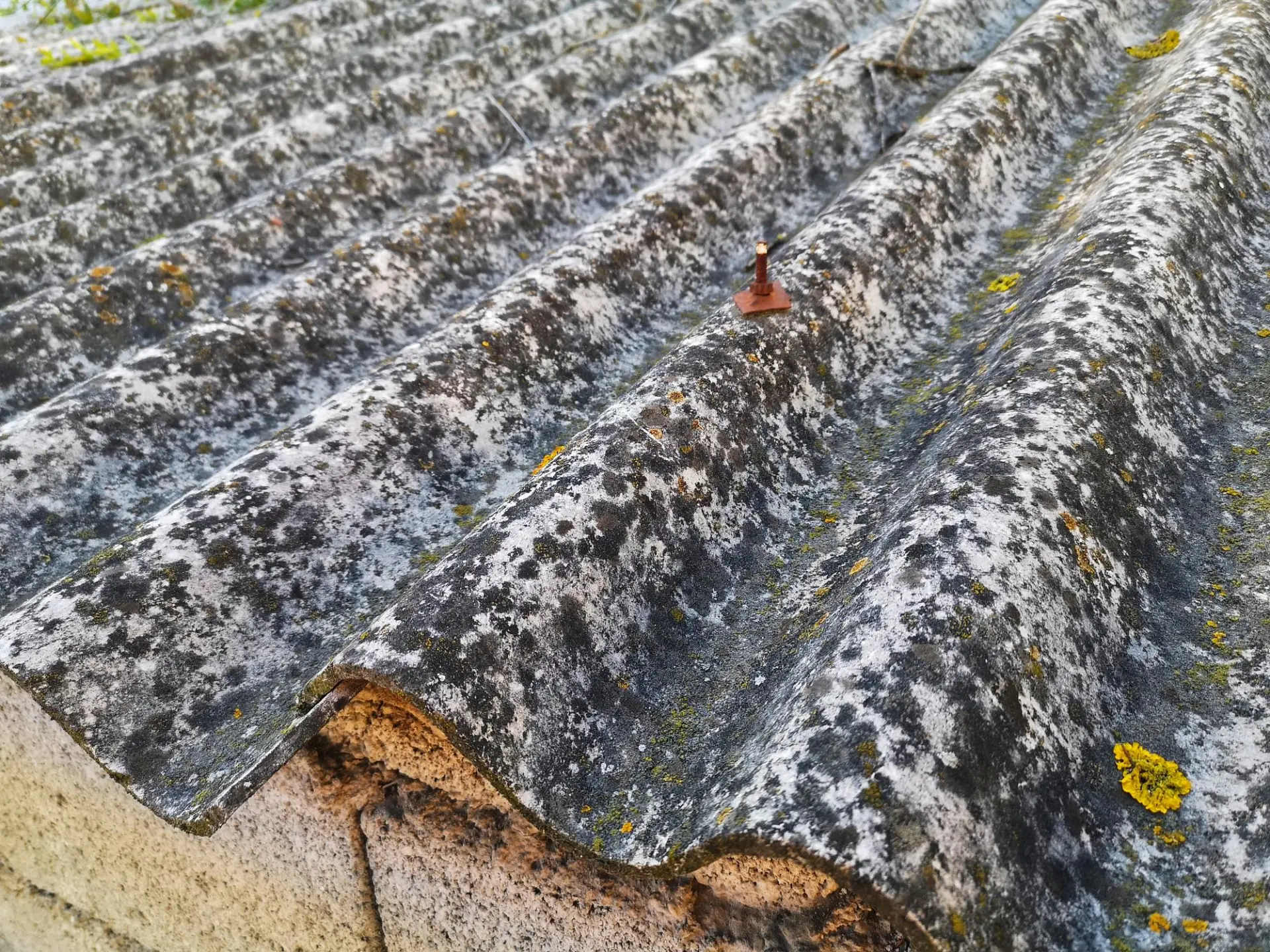 Asbestos Removal and Waste Management Sterte