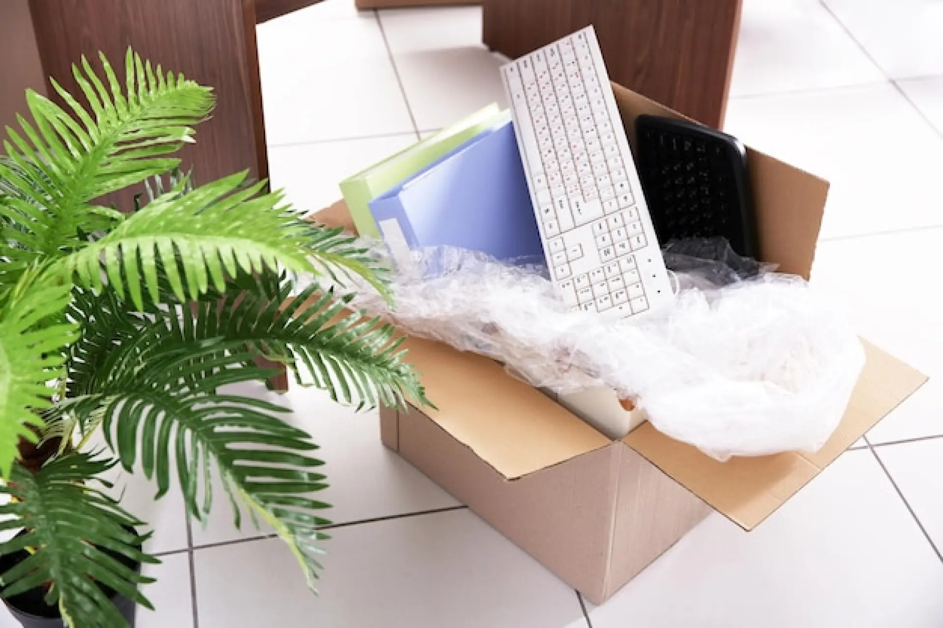 Managing Important Documents - House Clearance After a Loved One Passes Away