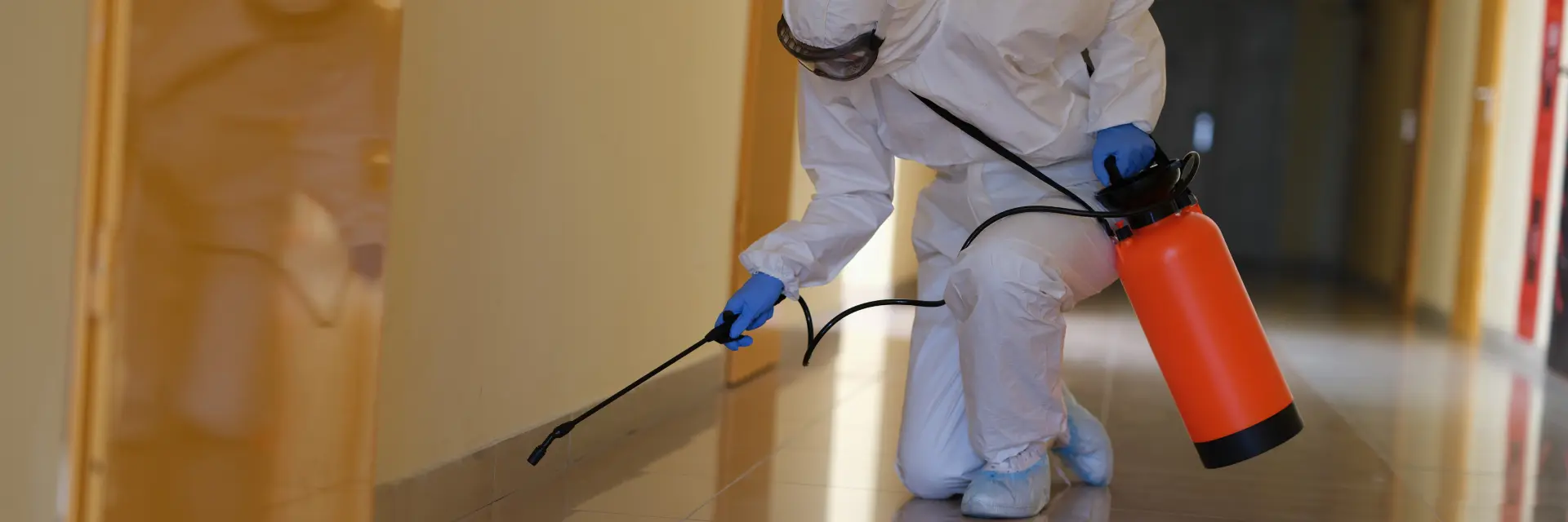 Bedbug Pest Control Services Liverpool, Manchester and Bolton