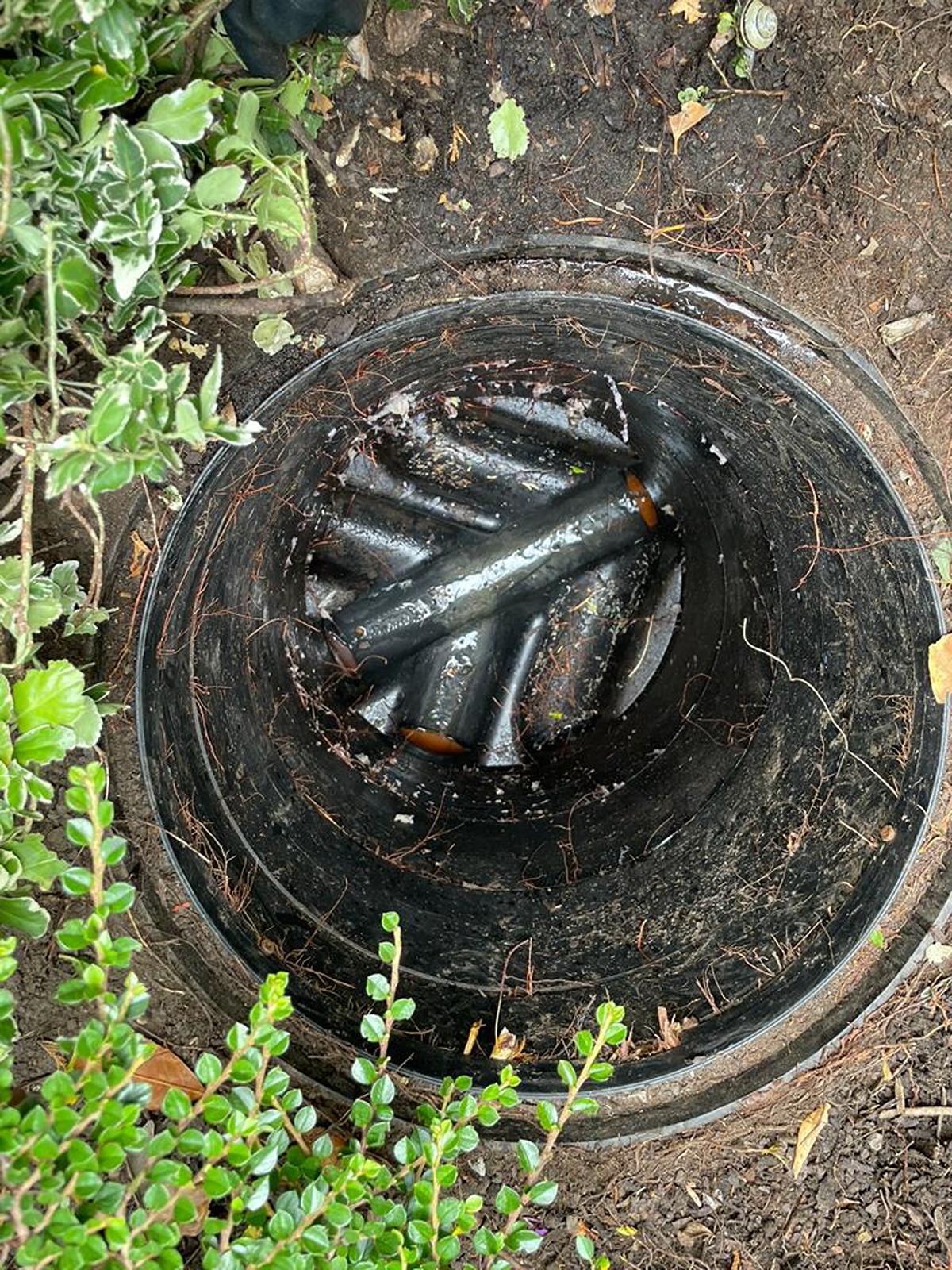 How Regular Drain Maintenance Can Save You Money