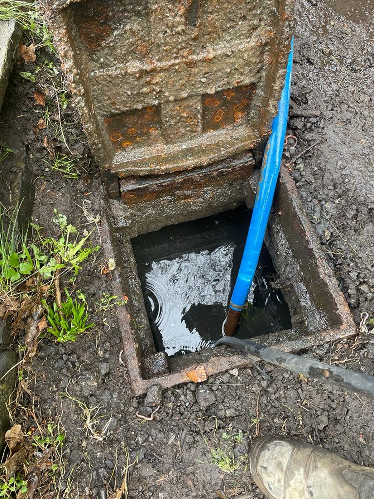 Regular Maintenance Prevents Expensive Repairs