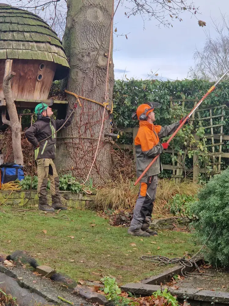 Tree Surgeon in Malvern, Ledbury, Worcester 