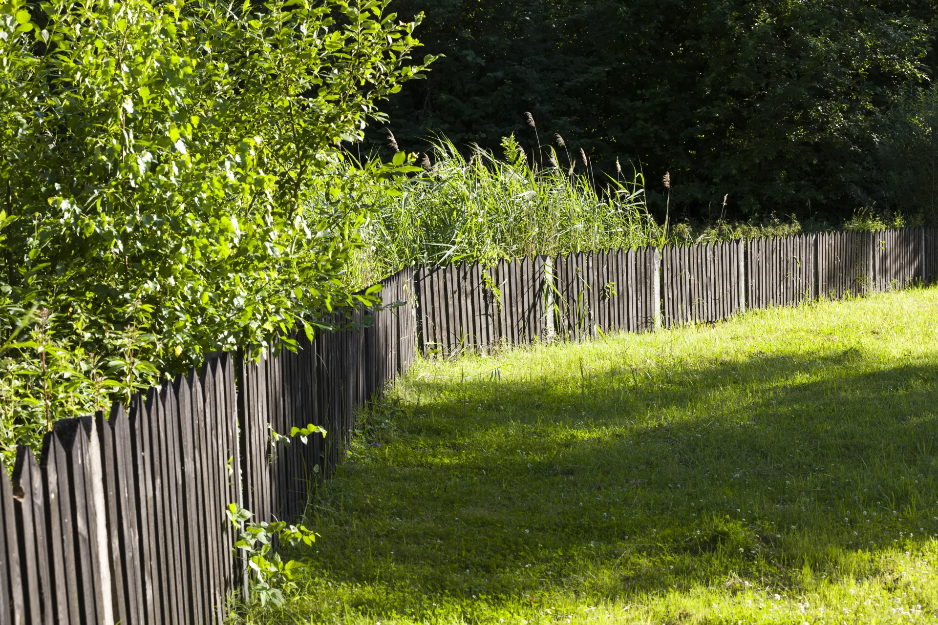Additional Fence Installation Costs to Consider