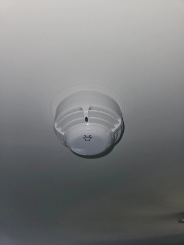 Fire Alarms and Equipment (image 4 of 13)