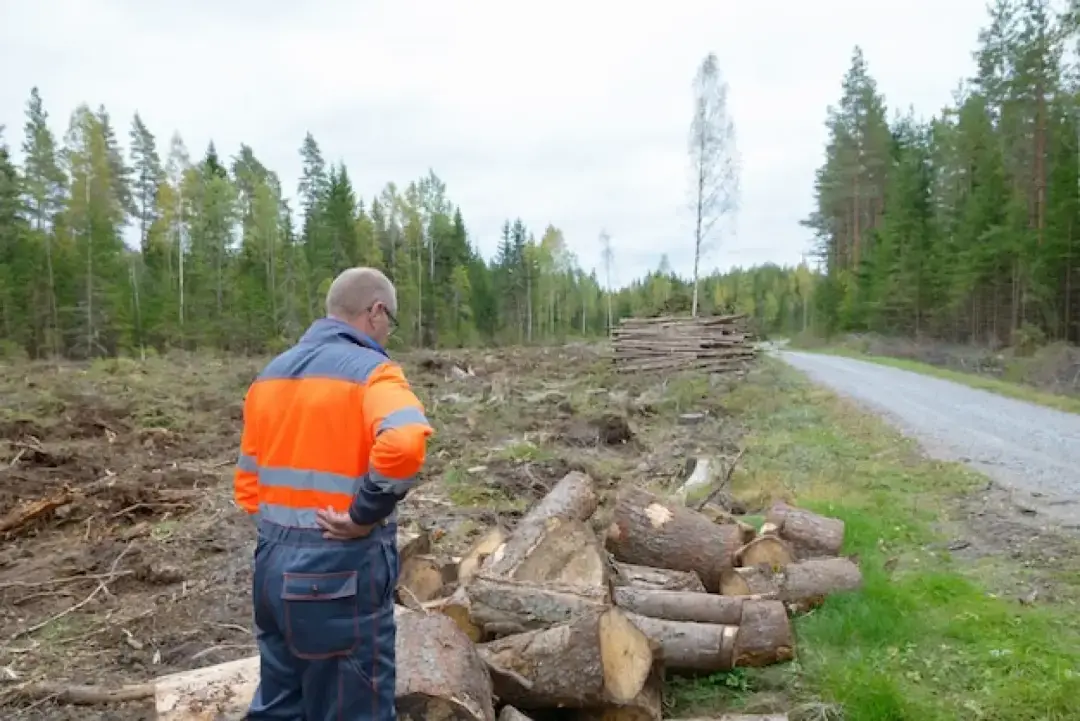 Low Impact Forestry Exmouth, Honiton and Sidmouth