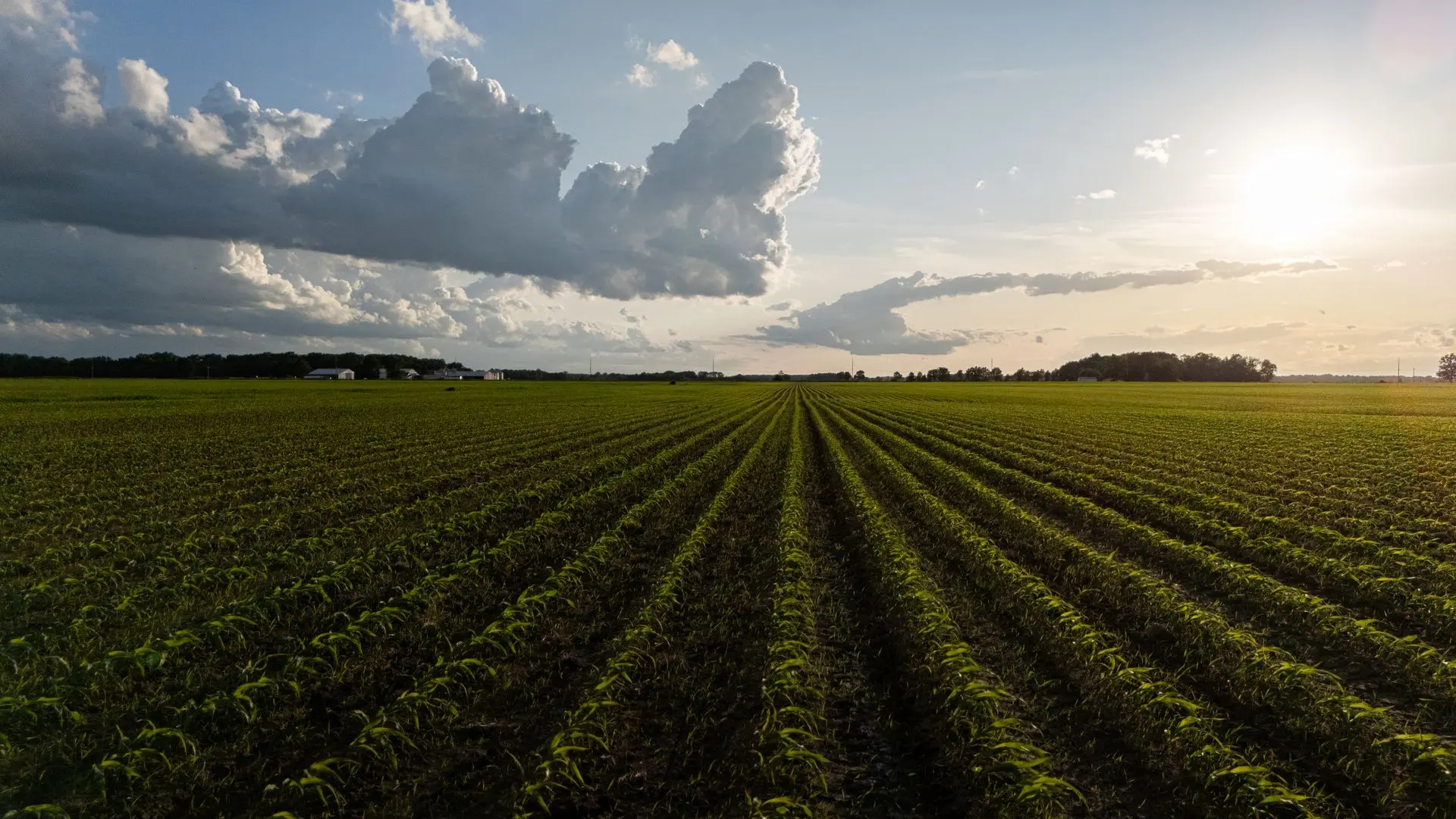 Protecting Crops, Feed and Equipment