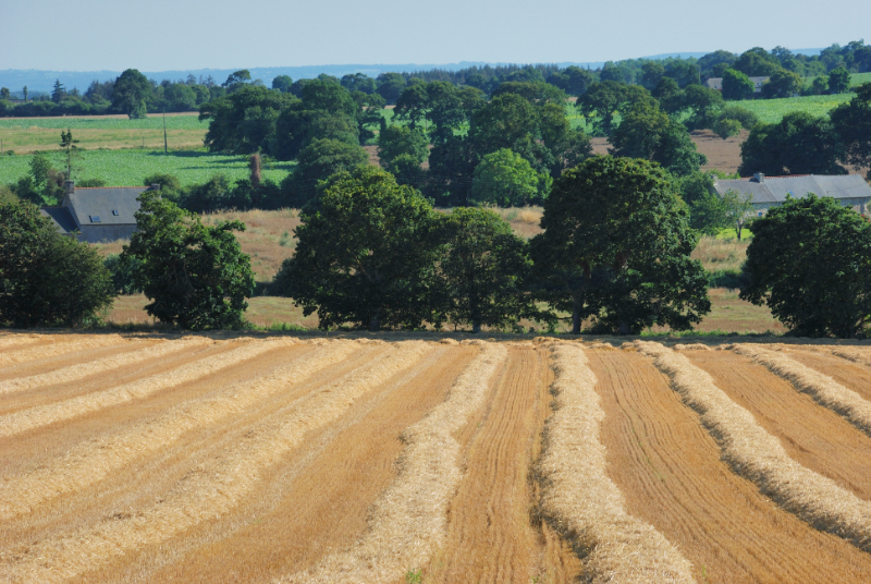 How To Convert Agricultural Land For Residential Use how-to-convert-agricultural-land-for-residential-use