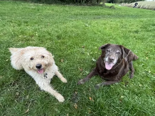 Organic Long Sleeve T-Shirt