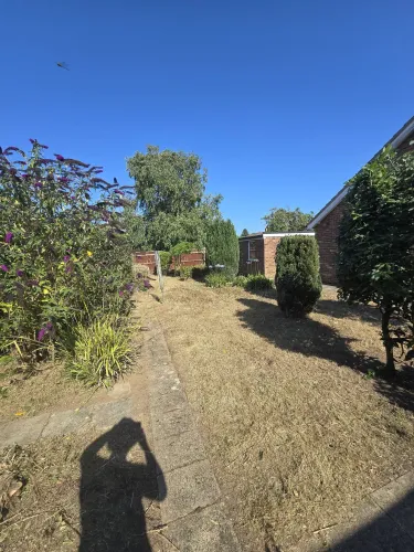 Garden after tidying with cleared lawn, swept path and pruned shrubs along the border