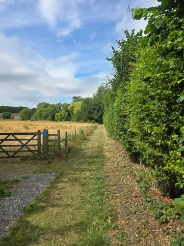 Neatly trimmed tall hedge running along a countryside path beside a field gate