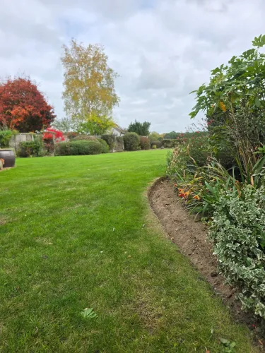 Lawn with a freshly cut curved edge beside a flower bed