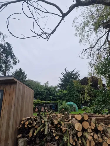 Logged timber stacked in rows in a garden after tree removal