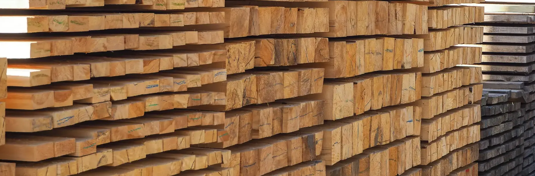 The Most Common Types of Timber Used in Construction