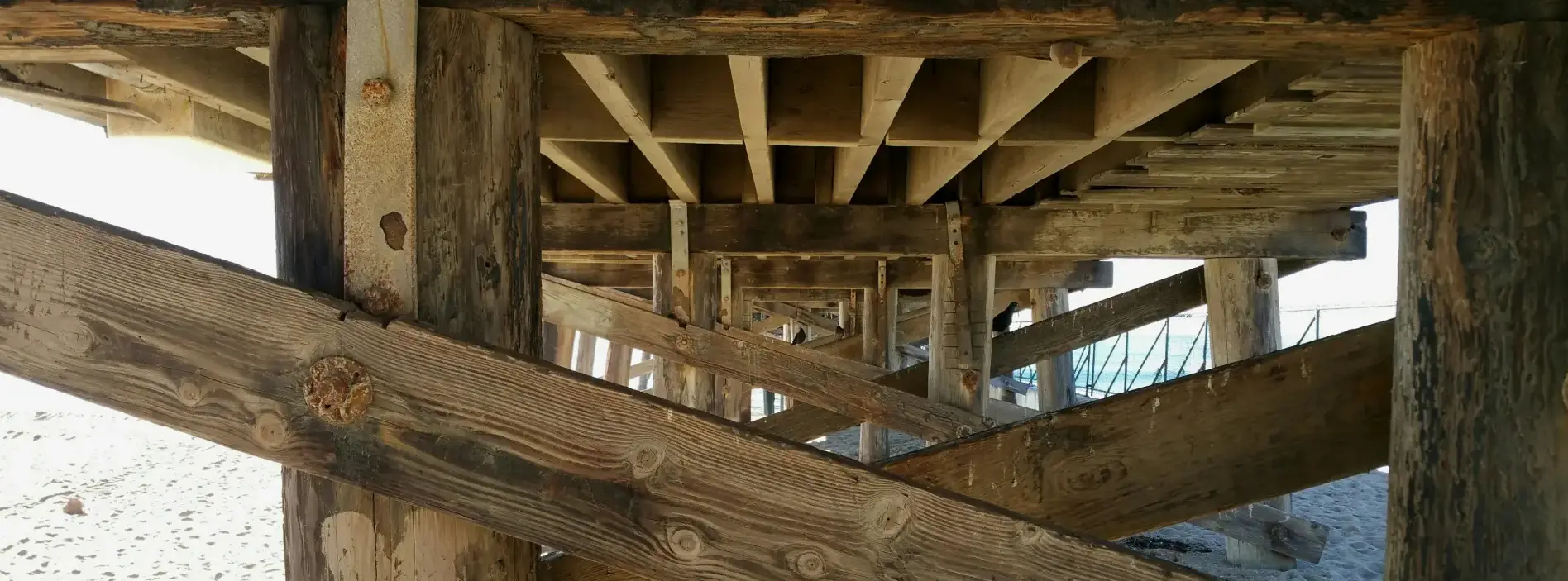 Why Builders Still Choose Timber for Homes
