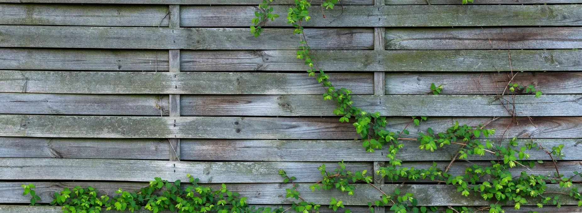 How Long Does Fencing Installation Take Image