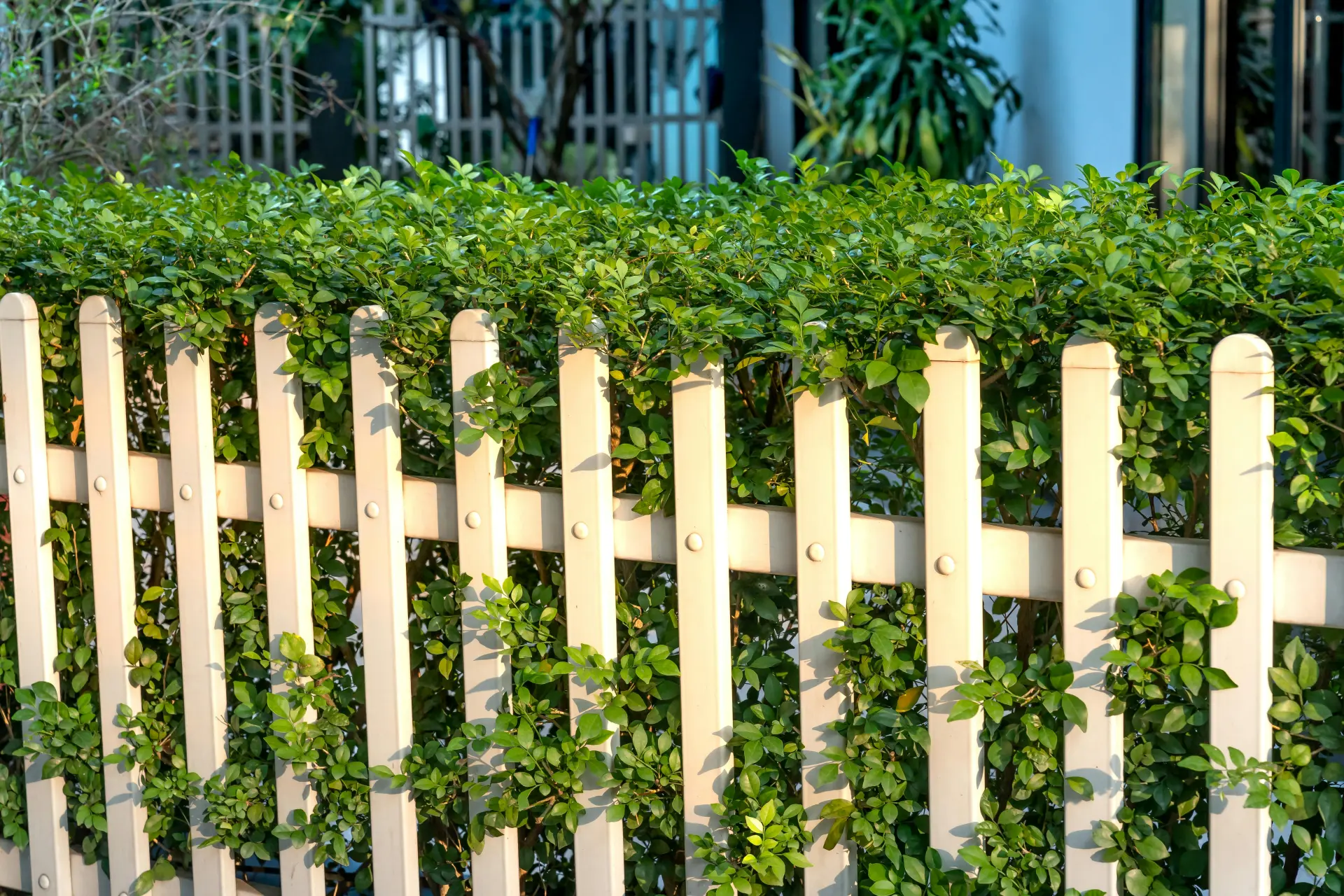 Wooden vs Metal Garden Fencing Pros and Cons