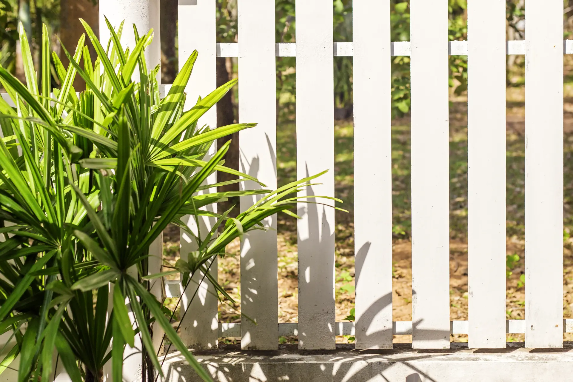 White Fence