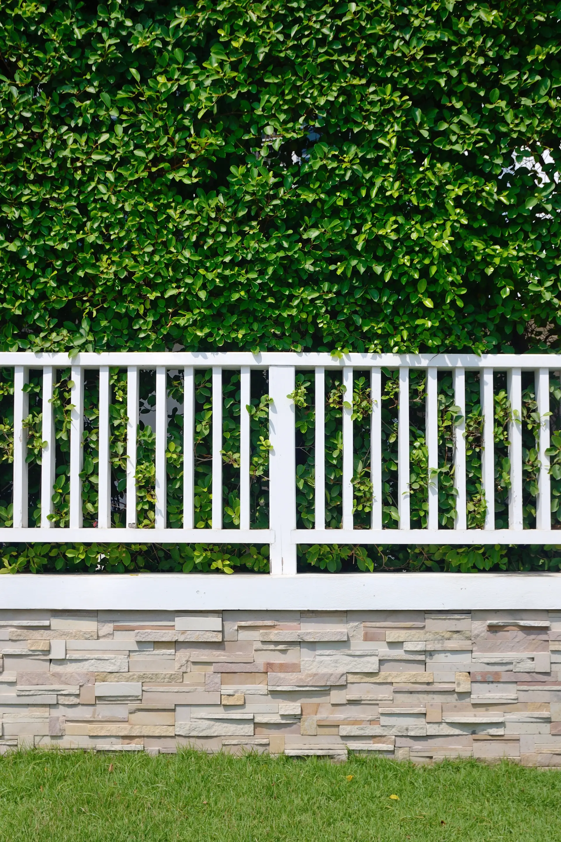 White Fence
