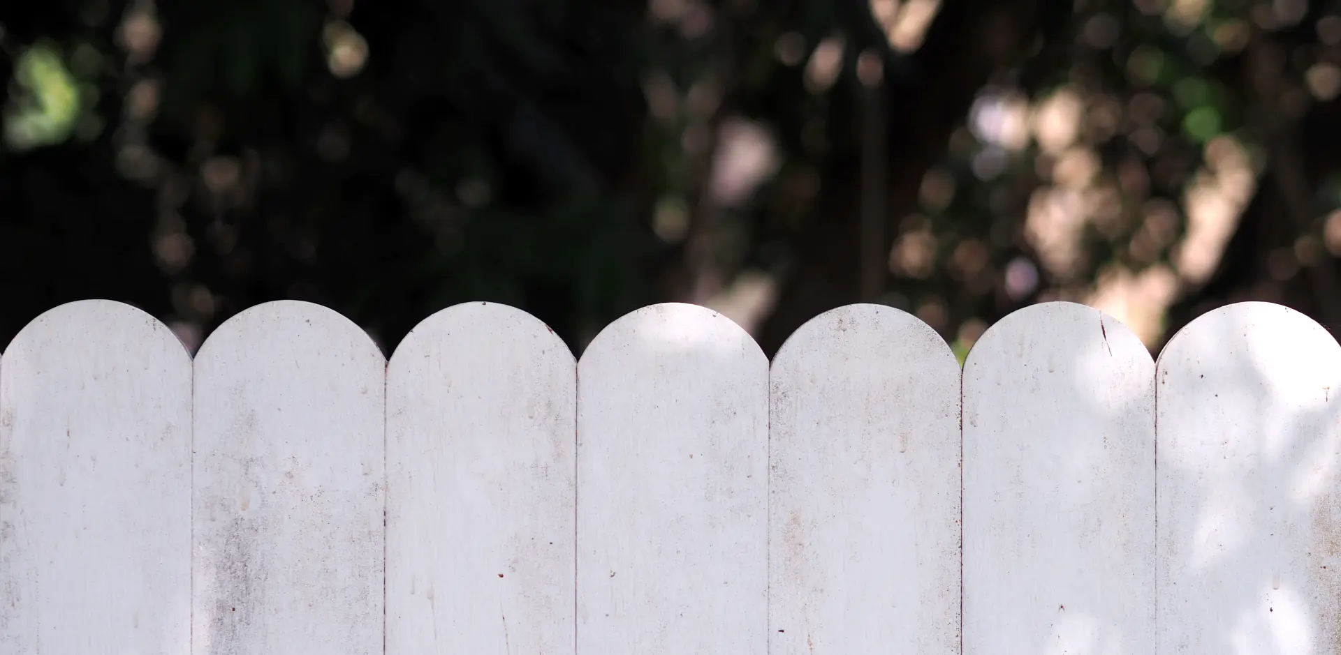 Garden Fence