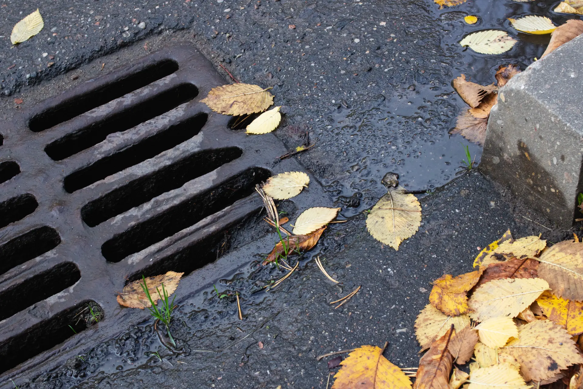 Common Drainage Problems in Commercial Buildings Image