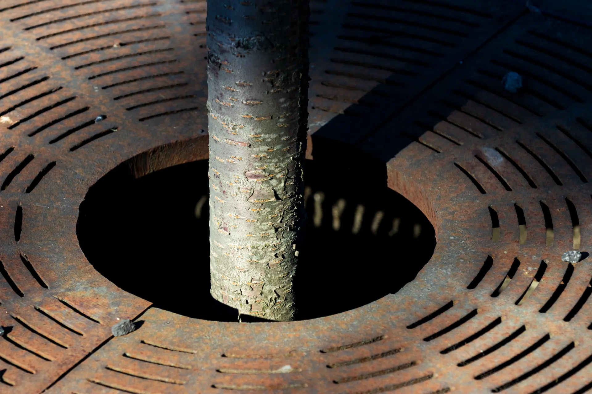 Detect Problems Early - Regular Commercial Drain Cleaning
