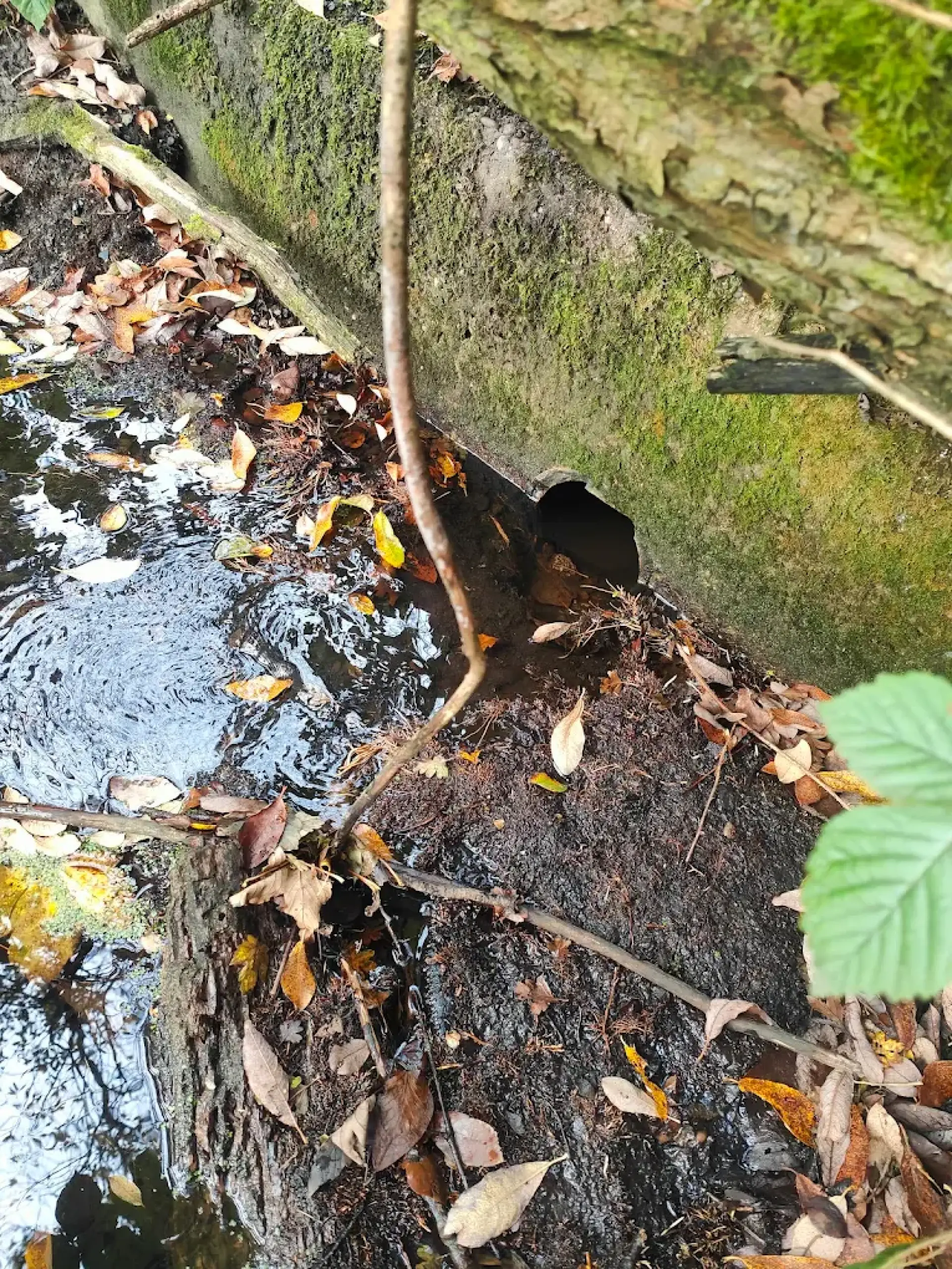 Drainage Unblocking Crewe, Chester, Stafford And Stoke On Trent