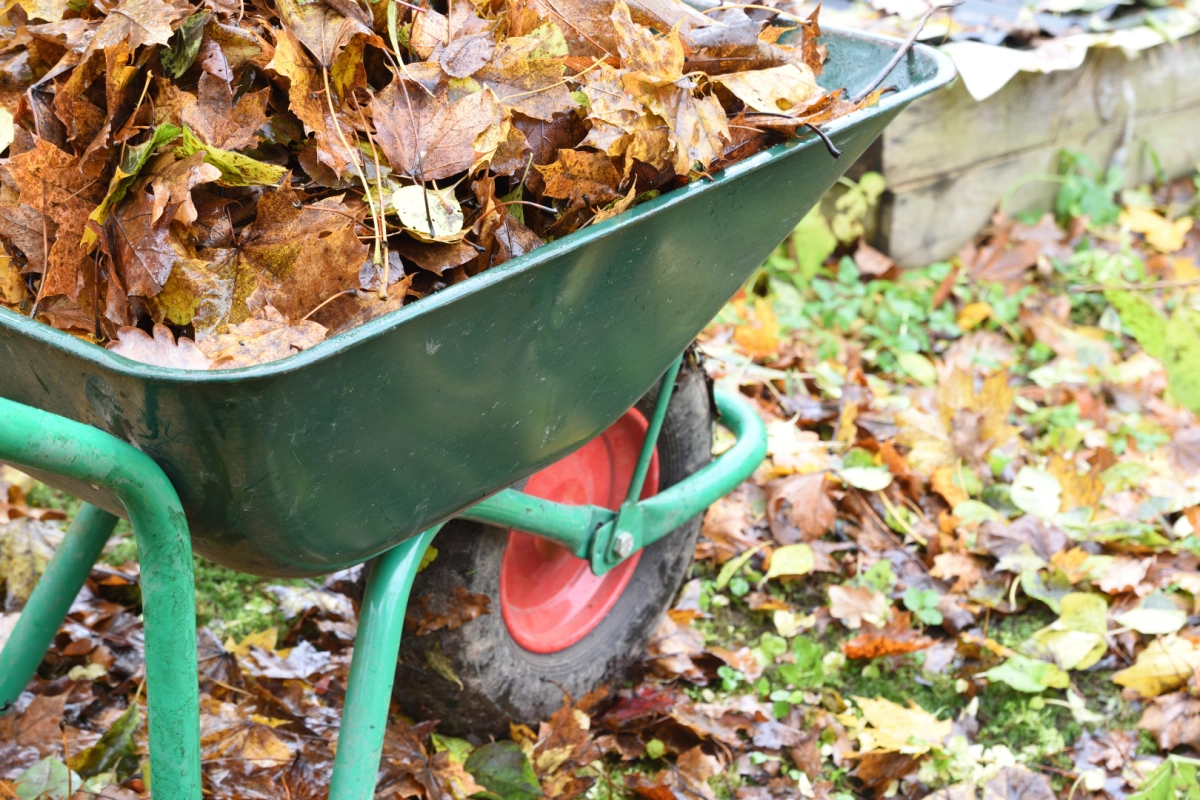 Get a Free Clearance Quote Torpoint