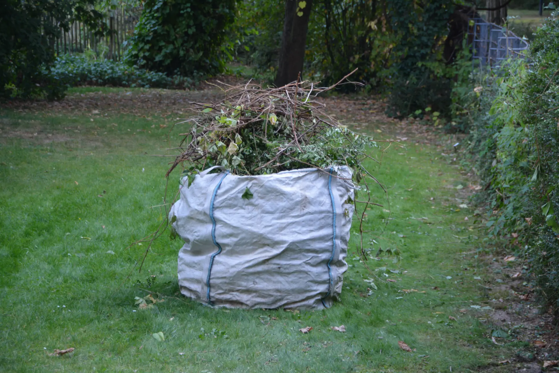 Seasonal Guide to Garden Waste Disposal Seasonal Guide to Garden Waste Disposal