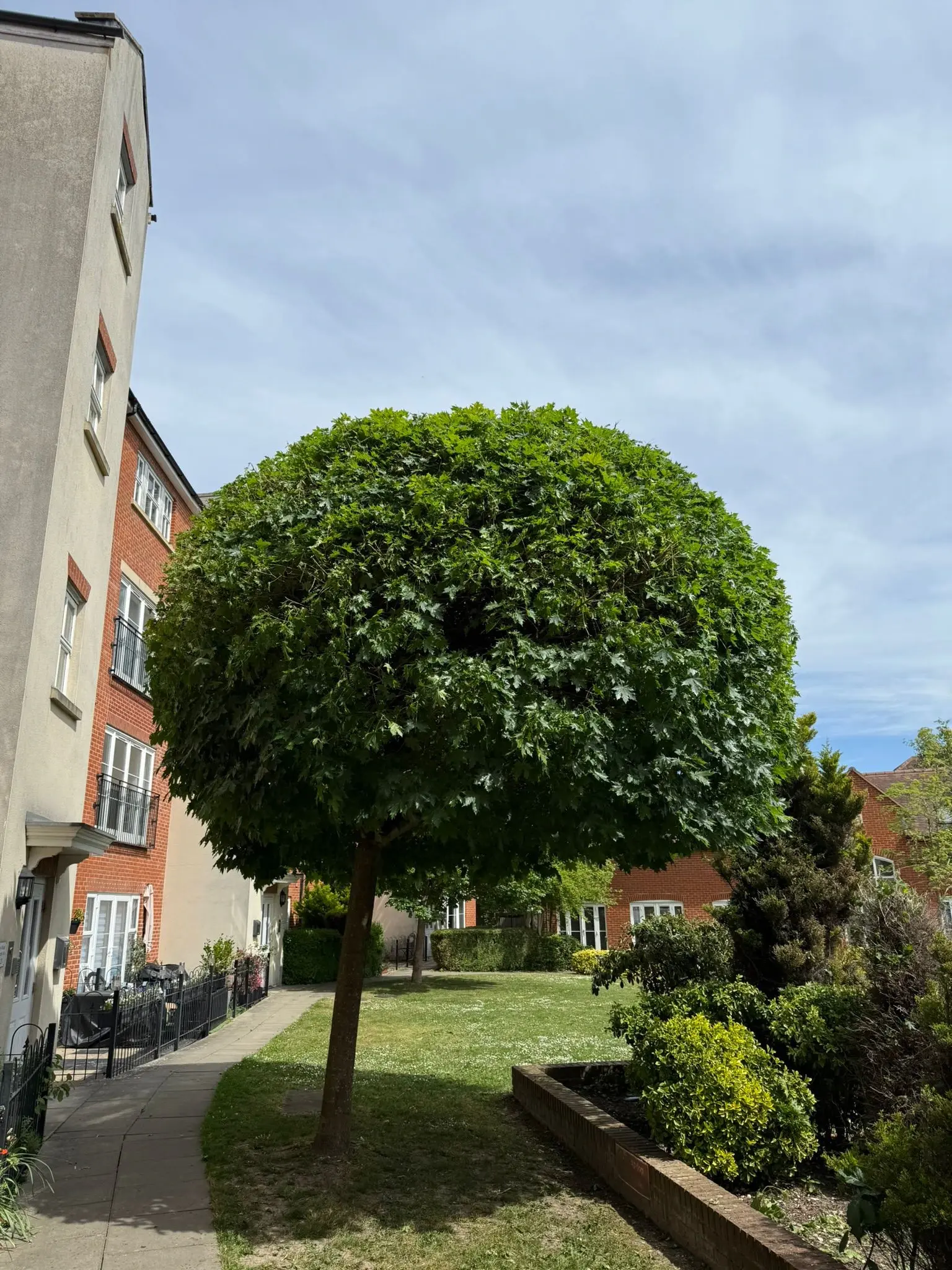 Commercial Tree Care Northleach