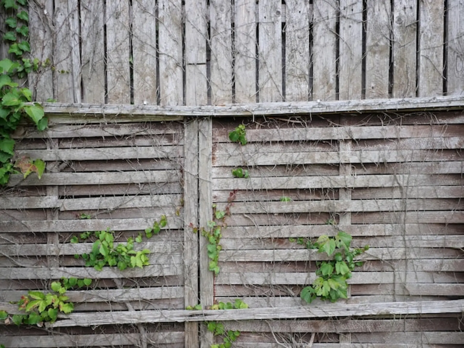 Fence Repairs and Replacements Chorley, Preston, Bolton