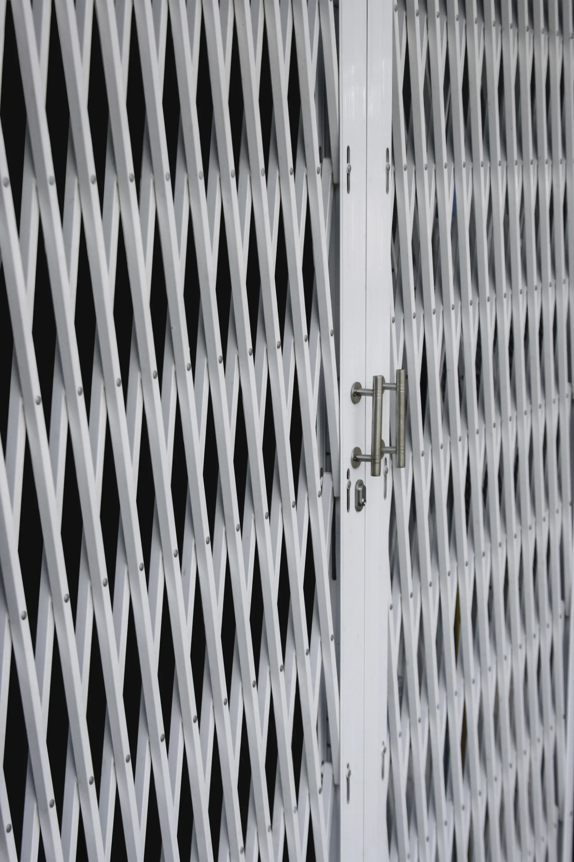 Types of Security Grilles - Planning Permission for Security Grill